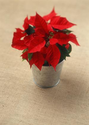 2026年最新版｜風水と金運アップの徹底対策法＆成功事例